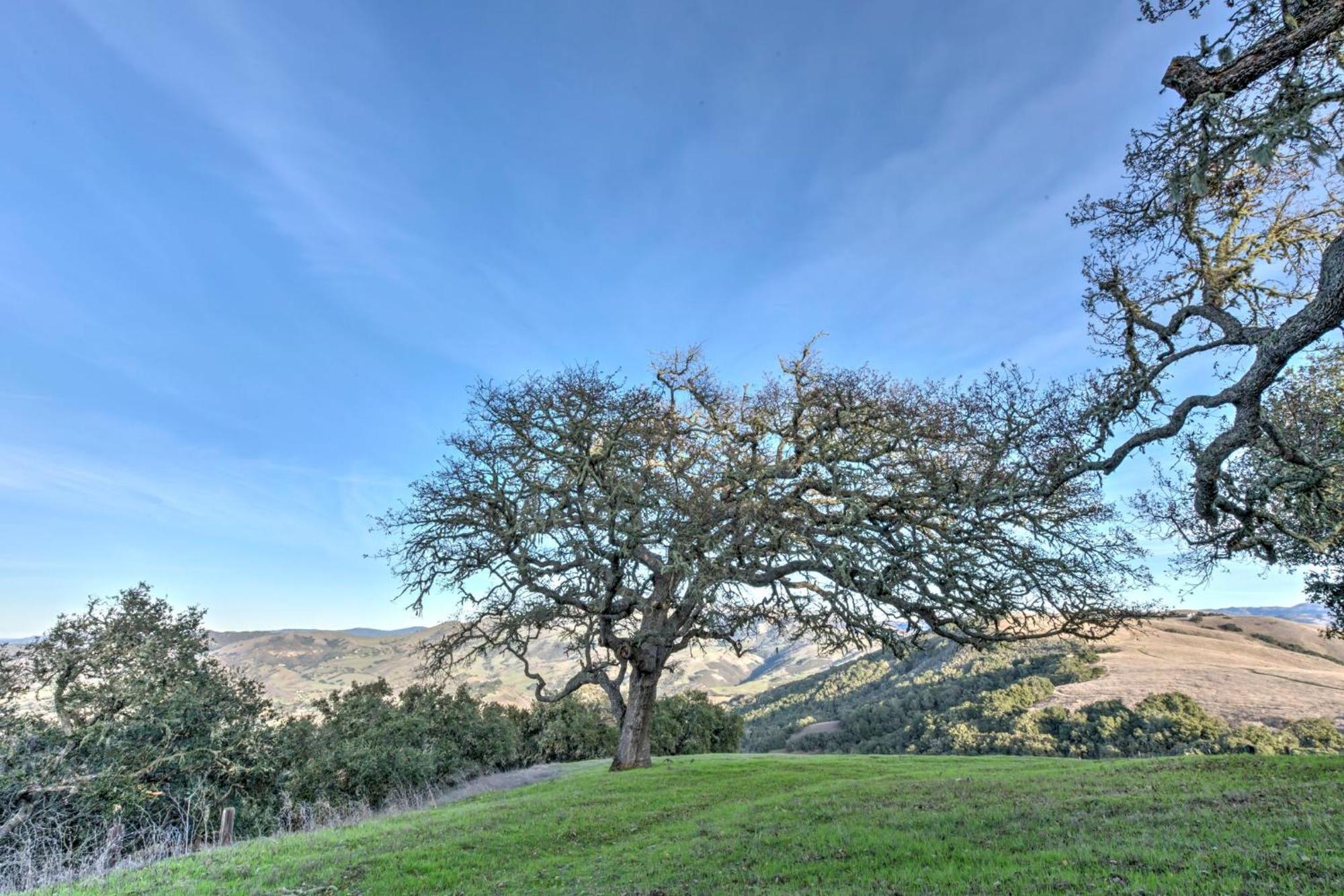 Lx37 Weathertop Ranch In Carmel Wine Country 卡梅尔谷 外观 照片